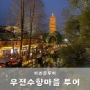 미라클투어 | 상하이 필수코스 우전 수향마을 맛집 고덕지도 차이나 미라클투어 너무 솔직한 후기 꿀팁 대방출
