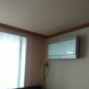네이처시스템 네이버블로그