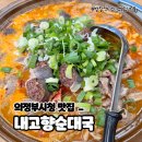 순대네 돈까스 | 의정부 시청 신시가지 순대국 내고향순대국 내돈내산 순대전골 왕돈까스 후기