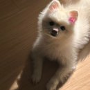 톡스미의원 이미지