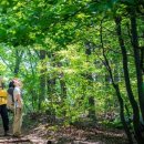 광교산 체육공원 이미지