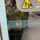 다락쿠키 | 잠실 롯데월드몰 3층 다락빵 두바이 쫀득 쿠키 평일 웨이팅 후기!! (대왕 두바이쫀득쿠키, 초코볼 두쫀쿠)