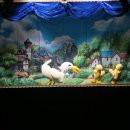 큰별숲유치원 이미지