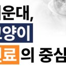 문 동물병원 이미지