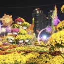 가고파플라워 이미지