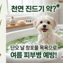 이 좋은걸! 역시 조상님은 알고 계셨네