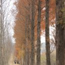 경주산림환경연구원 이미지
