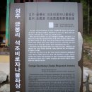 성주 금봉리 석조비로자나불 좌상 이미지