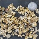 분당-383 | 오래된 신뢰, 성남금거래소 종로금거래소 분당직영점 이야기