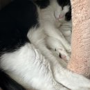 두리세탁 이미지