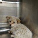 구지동로 이미지