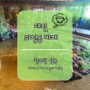 판암동174 | 대전 괴정동 카페, 무릉도원 같은 아늑한카페 청수당 신록