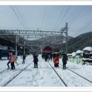 태백산 기차여행 최종 일정 및 준비물 이미지