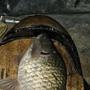 불목지 Daum카페