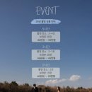 행복제주 | 정신없었지만 행복했던 6월 제주스냅 후기🌿 (서기록 B상품, 들판&바다들판 촬영)