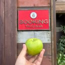 인성 다도 명상 | 마음의 평화와 돌아갈 힘을 얻은 제주 3-4일차