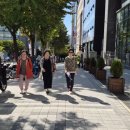 강남-235 이미지