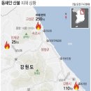 "강릉·동해 산불 주불 진화 완료"…산림 250㏊ 잿더미 이미지