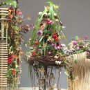 2025년 국제꽃장식대회 | [공지] 2026년 화훼장식 기능경기대회 + AHK 플로리스트 자격 과정