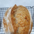 조현덕농장 이미지