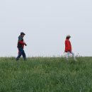 해식 농장 이미지