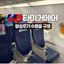 레일파크(161)(33048) | 대만 타이거에어 (ICN-TPE) 후기 기내 수화물 규정 셀프체크인