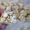 시래기 Wa 고등어 이미지