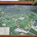 한라수목원입구사거리