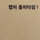 성심카서비스 | [25.07.11 ~25.07.13] 망고와 그 외 3인 제주 동쪽 여행 1일차