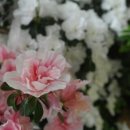허준건강원 - 금산군 비단로 134 | 허준건강원