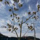 소소농장 이미지