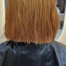 댕댕이 커트방 | 인생 머리 찾았다! 감성 충만한 송도미용실 탐방기