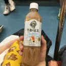 은냥이네 이미지