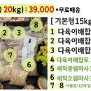 진토베기 이미지