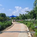 색동공원 이미지