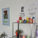 디디디아이 이미지