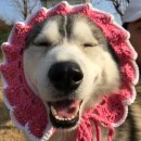 허숙희네 이미지