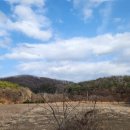 지금여기(now&here) | 그대 神님! 어떻게 살아야 할까? 26. 지금-여기(Now-here)에서 살아가시게.(With English translation)