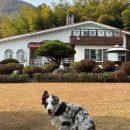 오크빌민박 이미지