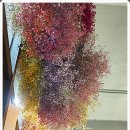 소소한카페 이미지