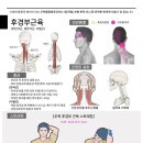 봉담정성365한의원 이미지