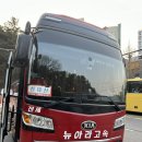 뉴아라고속관광
