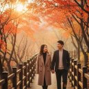 순환로3 | 남산 순환로 단풍 산책길, 가을 정취 완벽 코스 후기