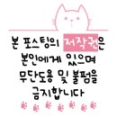 [대전/맛집] 둔산동 10시까지 영업하는 식사되는 술집 이억만포장마차(A.K.A 일상의 소중함)