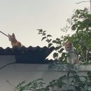 컴포즈커피상주중앙점 이미지
