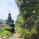 진도 카멜리아 힐즈 오토캠핑장 이미지