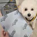 으뜸시트 | 발도장 없는 배변패드 으뜸패드 내돈내산 후기