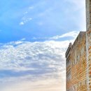 연세대학교 법무대학원 이미지