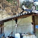 노송부동산 이미지