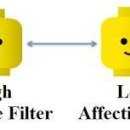 What is the affective filter? 이미지